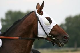 Sport    0000011.JPG