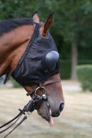 Sport    0000013.JPG